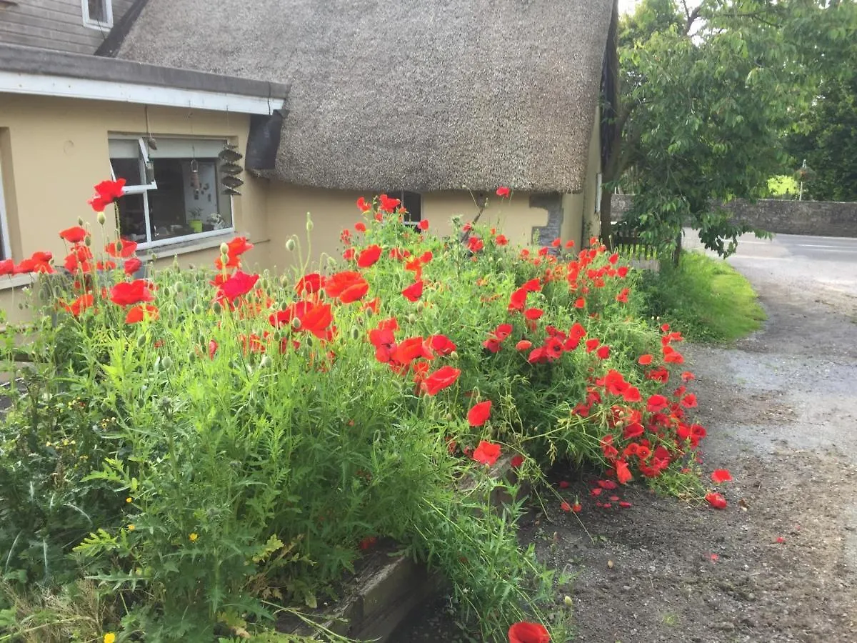 Bridge Cottage Killare 0*,  Ireland
